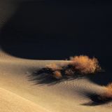 Of Darkness And Light