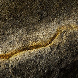 Inside, A Golden Fire