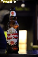 Beer in the Bush resized