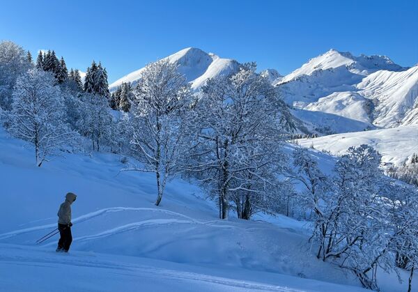 Tranquil Mountains