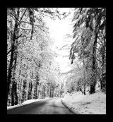 Driving with anticipation