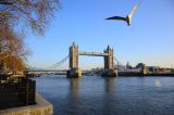 Tower Bridge takes flight