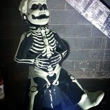 Oor Skeleton - Oor Wullie ECHC Event