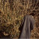 Barbara Curtin, West Country