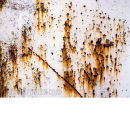 Rusty field