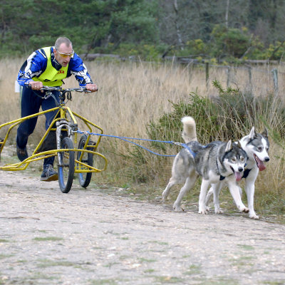 OTHER CANINE EVENTS