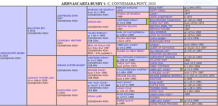 Pedigree of Ardnascarta Busby