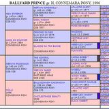 Ballyard Prince Pedigree