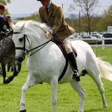 'Boyne Girl' shine again!