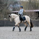 Ballyard Topy, 153cm by Capparoe Lad
