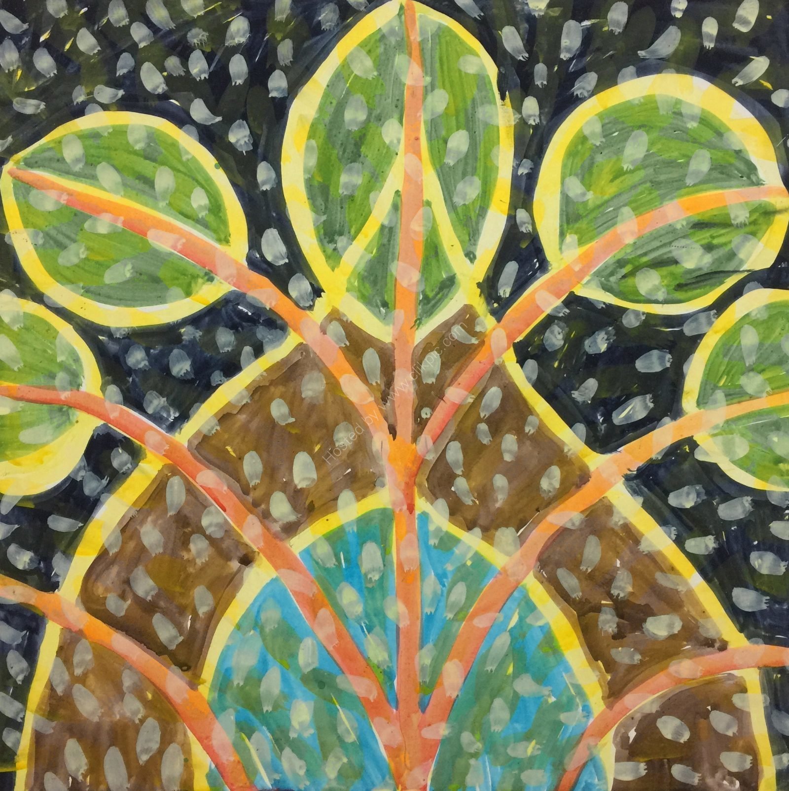 pilea