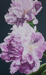 2 pink peonies