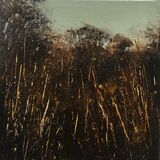 SOLD - Evening time, Goonhilly Downs
