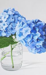 Double Blue