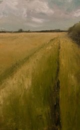Blue skys and barley