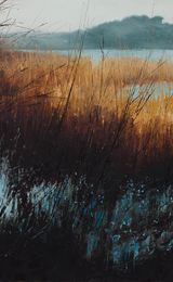Reeds and willow at the Loe