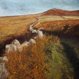 Snaking Hedgerow, Carn Galver