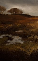 Call of a distant crow
