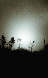 As the sun burns through the mist