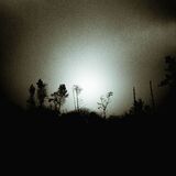 As the sun burns through the mist