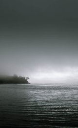 as the mist creeps in