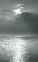 Calm silver seas