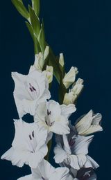 Dancing Gladioli