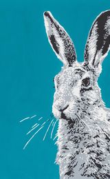 Hare on blue