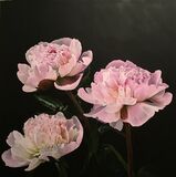 King Of Flowers