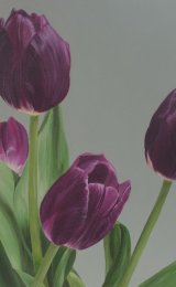 Mum's Easter tulips