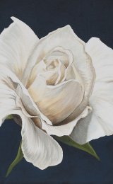 English rose