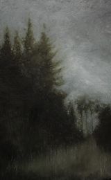 There's agap in the woods where the light comes in