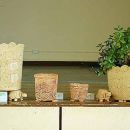 Àrd-Sgoil Ghàidhlig Ghlaschu, 2009- planters for sale