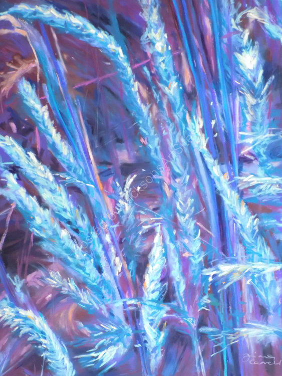 Blue Grass