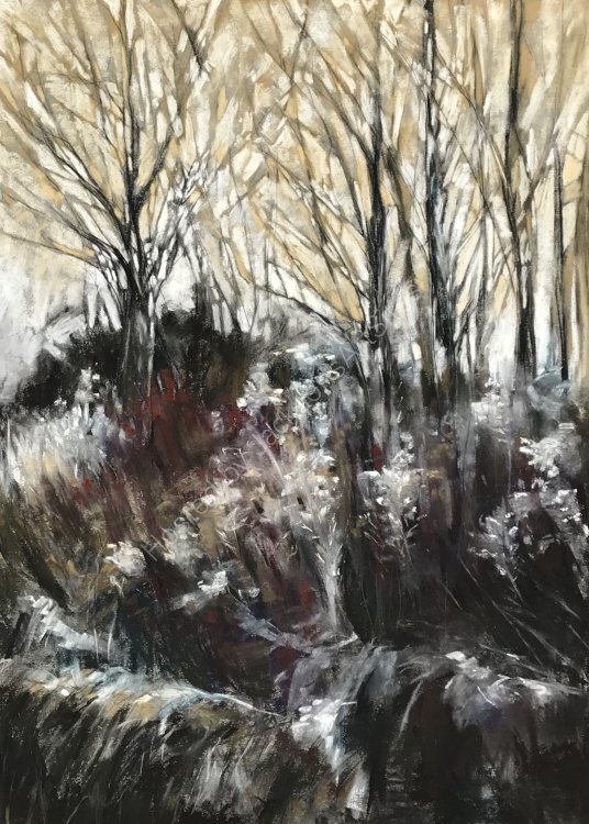 Coppice