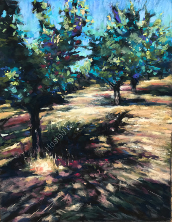 Plum Trees at Bajamont - SOLD