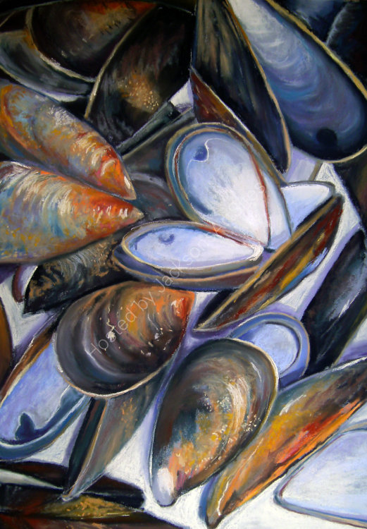 Shells