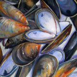 Shells -SOLD