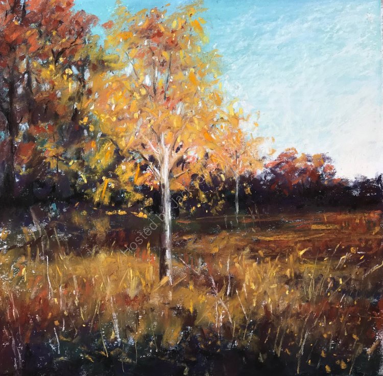 Silver Birch