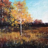 Silver Birch