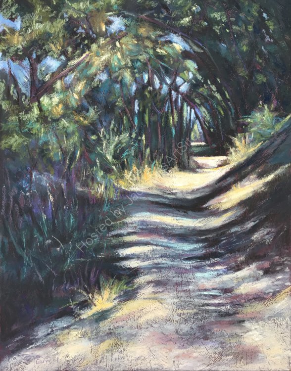 Sunlit Path