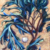 The Seaweed Tree