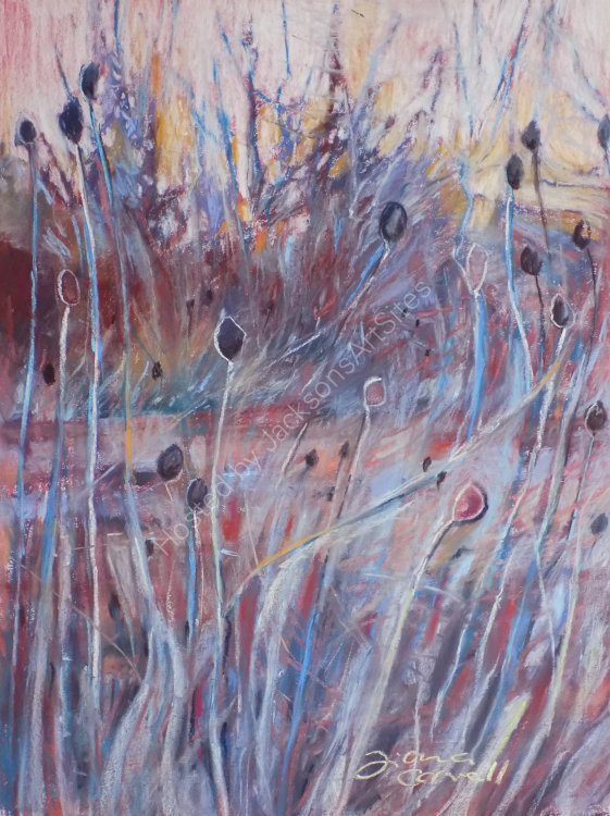 Winter Grasses
