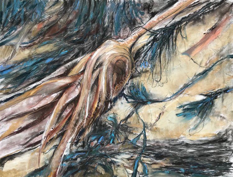 Washed Ashore