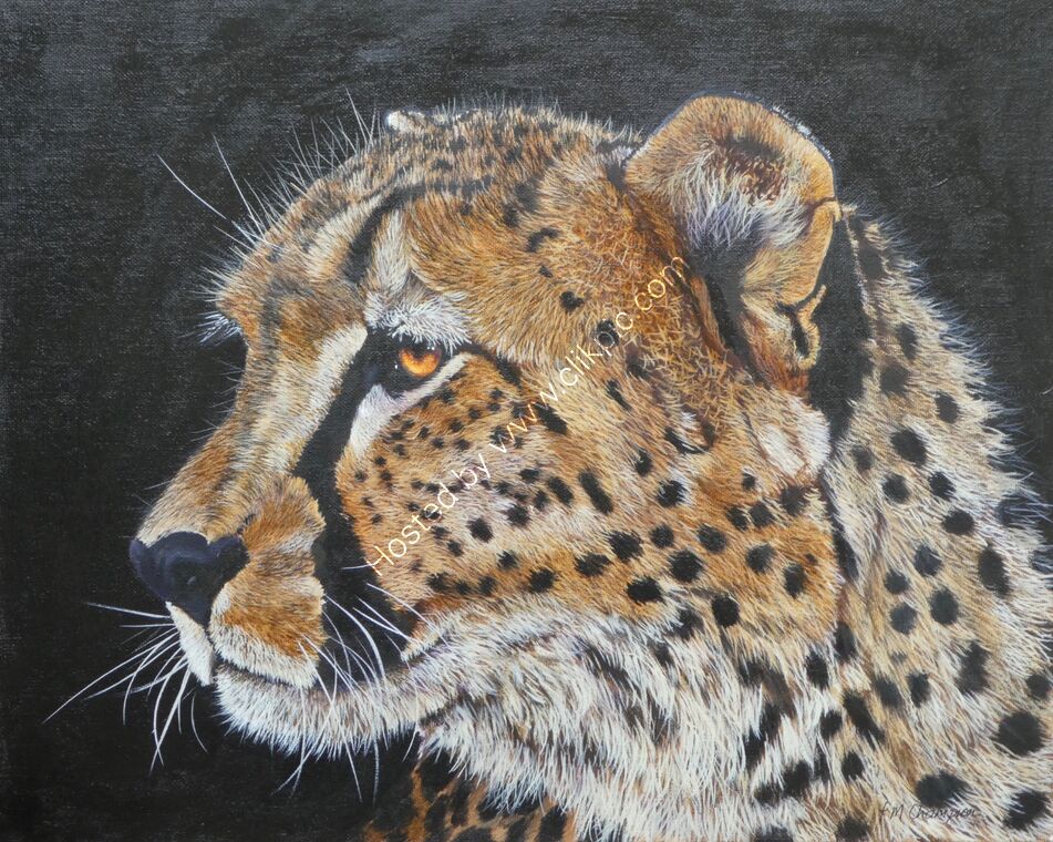 "Cheetah"