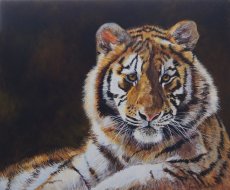 "You Lookin' at Me?" SOLD