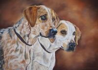 "Brace of Hounds"  5" x 7"