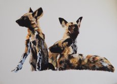 "Bush Brothers" SOLD