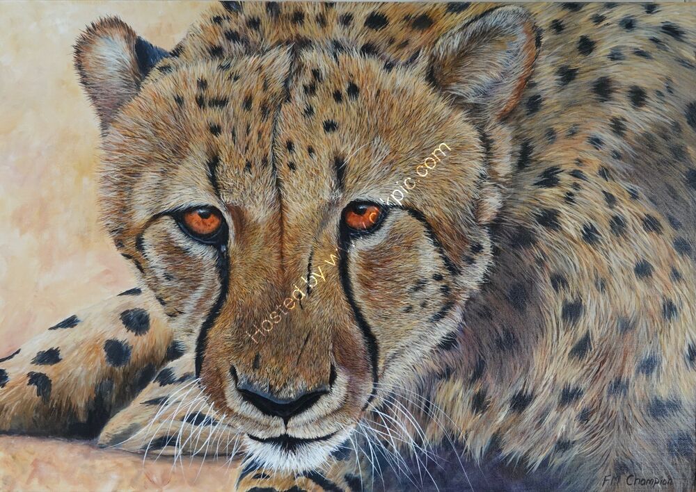 "Spotted"