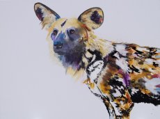 "Wild Dog" SOLD